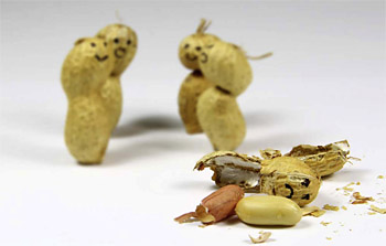 Erdnussmännchen