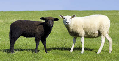 © by-studio – fotolia.com © by-studio – fotolia.com