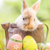 © drubig-photo - stock.adobe.com © drubig-photo - stock.adobe.com