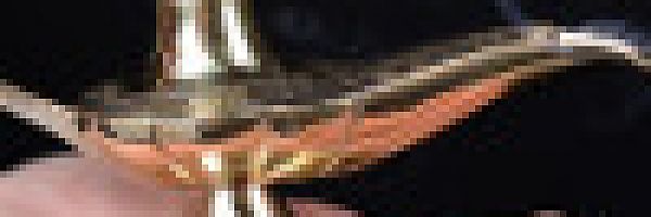 © Africa Studio - fotolia.com © Africa Studio - fotolia.com