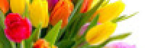 © FedotovAnatoly - fotolia.com © FedotovAnatoly - fotolia.com