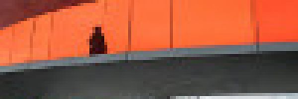 © nullpuls – stock.adobe.com © nullpuls – stock.adobe.com