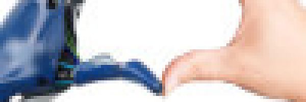 © dimdimich - stock.adobe.com © dimdimich - stock.adobe.com