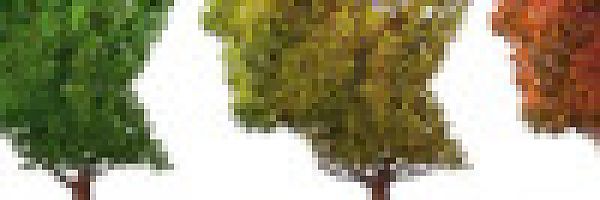 © freshidea - stock.adobe.com © freshidea - stock.adobe.com