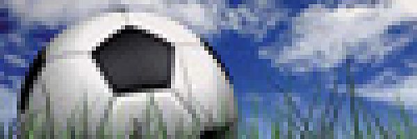 © Andres Rodriguez –Fotolia.com Fußball im Gras
