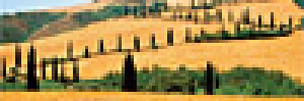 Felder mit Weg