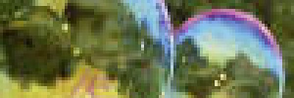 © glohs – Fotolia.com © glohs – Fotolia.com