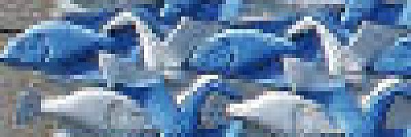 © Dušan Zidar, fotolia.com © Dušan Zidar, fotolia.com
