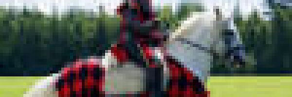 © L. Skat – fotolia.com; © L. Skat – fotolia.com;