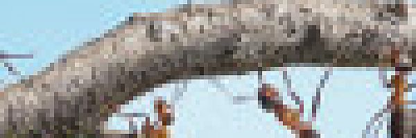 © antrey – fotolia.com © antrey – fotolia.com