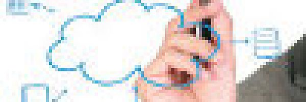 © scottchan – fotolia.com © scottchan – fotolia.com
