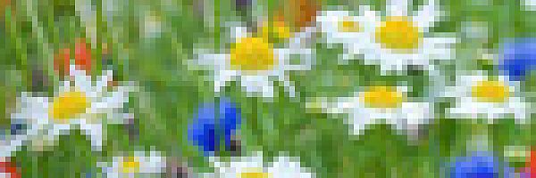 © Ticture-Factory – fotolia.com © Ticture-Factory – fotolia.com