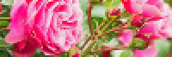 © BlueSkyImages – fotolia.com © BlueSkyImages – fotolia.com