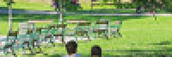 © soniccc – fotolia.com © soniccc – fotolia.com